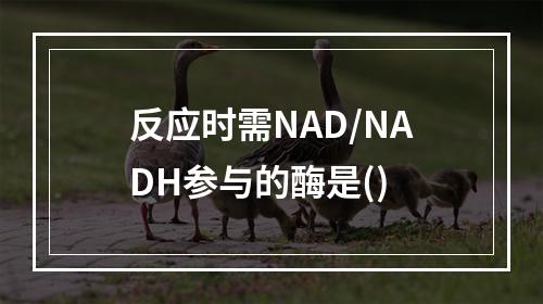 反应时需NAD/NADH参与的酶是()