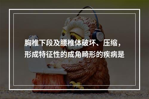 胸椎下段及腰椎体破坏、压缩，形成特征性的成角畸形的疾病是