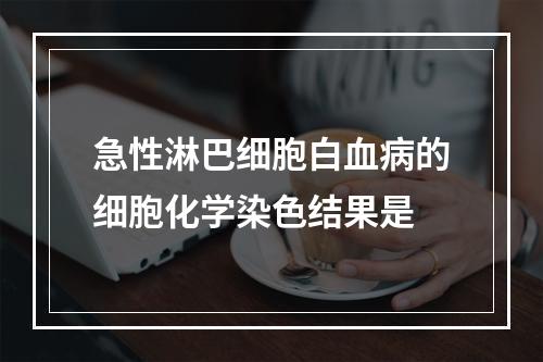 急性淋巴细胞白血病的细胞化学染色结果是