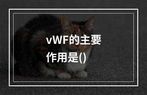 vWF的主要作用是()