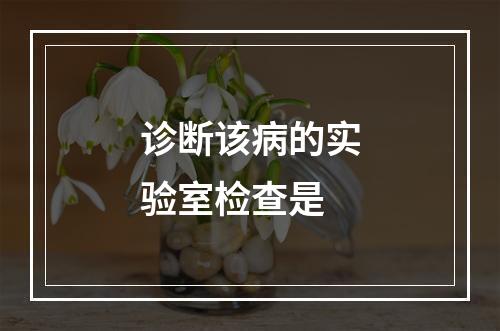 诊断该病的实验室检查是