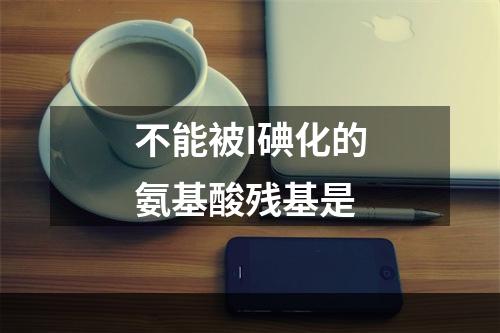 不能被I碘化的氨基酸残基是