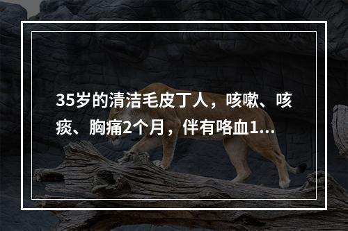 35岁的清洁毛皮丁人，咳嗽、咳痰、胸痛2个月，伴有咯血1个月