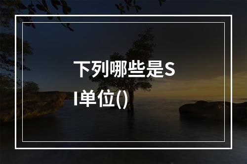 下列哪些是SI单位()