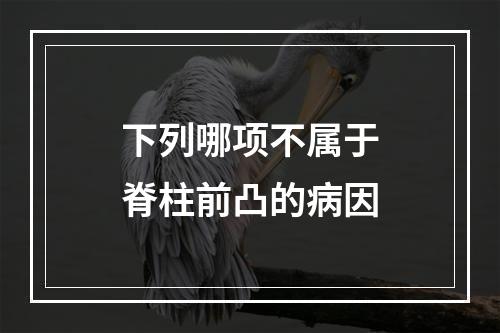 下列哪项不属于脊柱前凸的病因