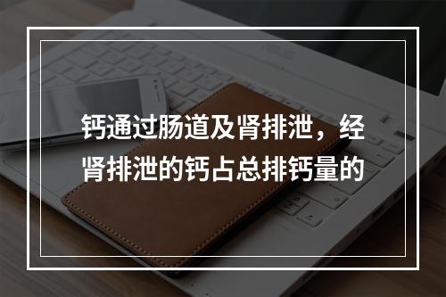 钙通过肠道及肾排泄，经肾排泄的钙占总排钙量的