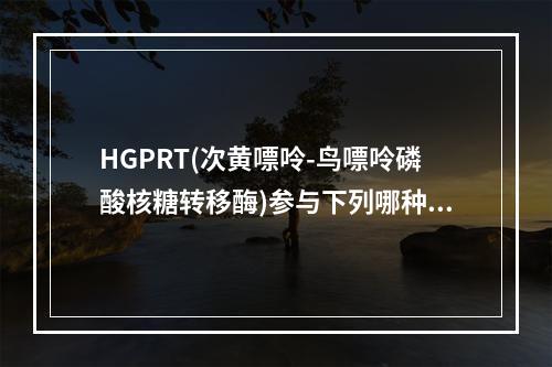 HGPRT(次黄嘌呤-鸟嘌呤磷酸核糖转移酶)参与下列哪种反应