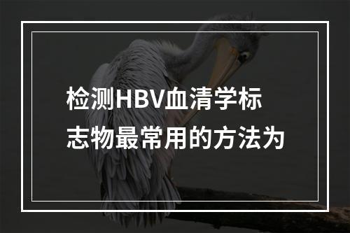 检测HBV血清学标志物最常用的方法为