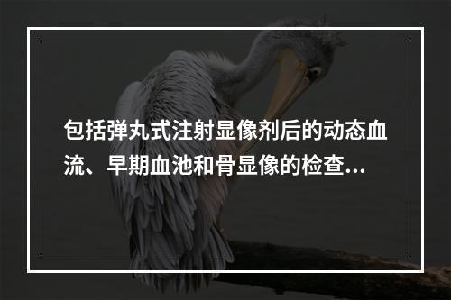 包括弹丸式注射显像剂后的动态血流、早期血池和骨显像的检查，常