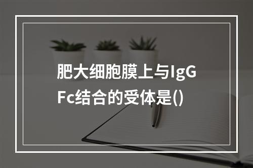 肥大细胞膜上与IgGFc结合的受体是()