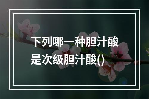 下列哪一种胆汁酸是次级胆汁酸()