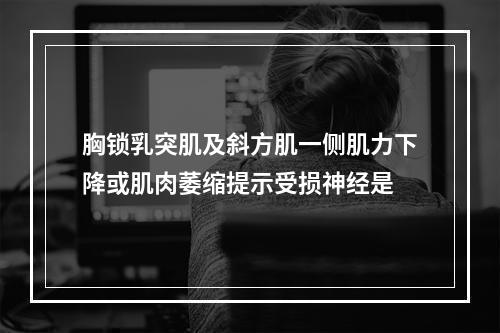 胸锁乳突肌及斜方肌一侧肌力下降或肌肉萎缩提示受损神经是