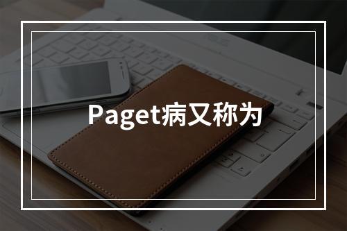 Paget病又称为