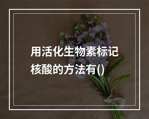 用活化生物素标记核酸的方法有()