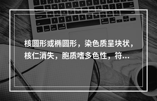 核圆形或椭圆形，染色质呈块状，核仁消失，胞质嗜多色性，符合以