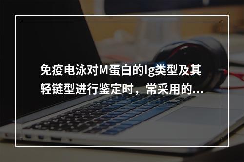 免疫电泳对M蛋白的Ig类型及其轻链型进行鉴定时，常采用的抗血