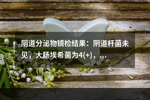 阴道分泌物镜检结果：阴道杆菌未见，大肠埃希菌为4(+)，上皮