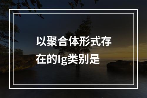 以聚合体形式存在的Ig类别是