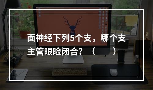 面神经下列5个支，哪个支主管眼睑闭合？（　　）