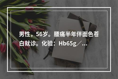 男性，56岁。腰痛半年伴面色苍白就诊。化验：Hb65g／L，