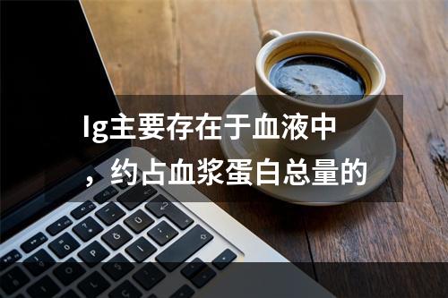 Ig主要存在于血液中，约占血浆蛋白总量的