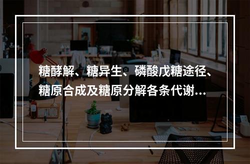 糖酵解、糖异生、磷酸戊糖途径、糖原合成及糖原分解各条代谢途径