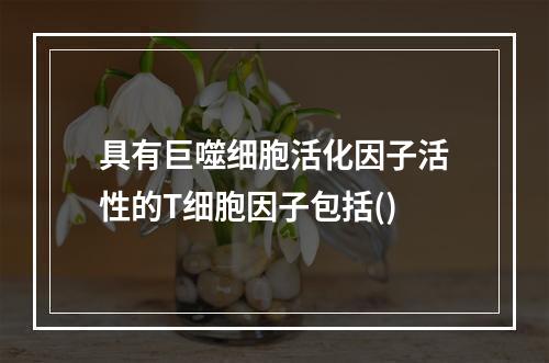 具有巨噬细胞活化因子活性的T细胞因子包括()