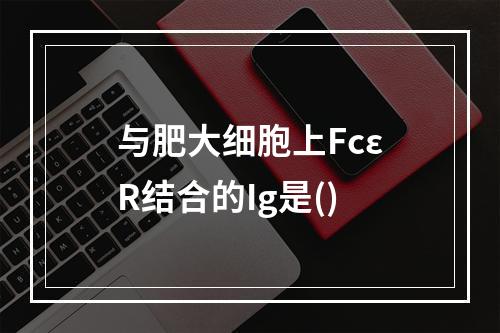 与肥大细胞上FcεR结合的Ig是()