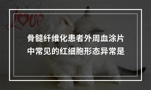 骨髓纤维化患者外周血涂片中常见的红细胞形态异常是