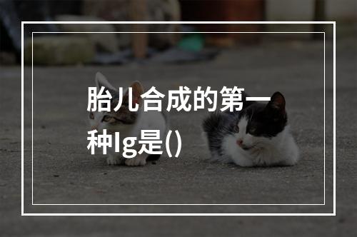 胎儿合成的第一种Ig是()