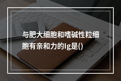 与肥大细胞和嗜碱性粒细胞有亲和力的Ig是()