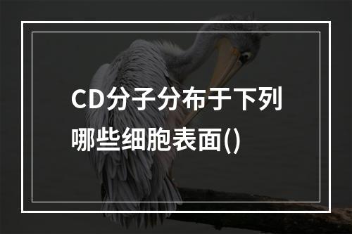 CD分子分布于下列哪些细胞表面()