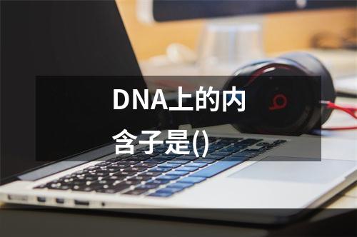 DNA上的内含子是()