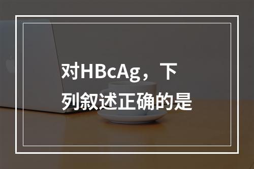 对HBcAg，下列叙述正确的是