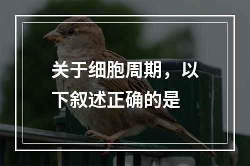 关于细胞周期，以下叙述正确的是