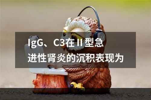 IgG、C3在Ⅱ型急进性肾炎的沉积表现为