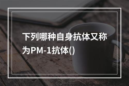 下列哪种自身抗体又称为PM-1抗体()