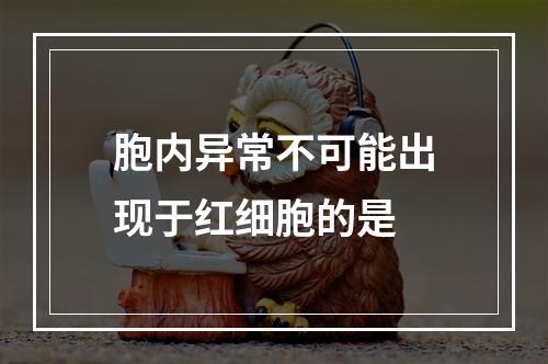 胞内异常不可能出现于红细胞的是