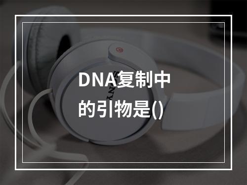 DNA复制中的引物是()