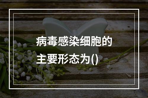 病毒感染细胞的主要形态为()