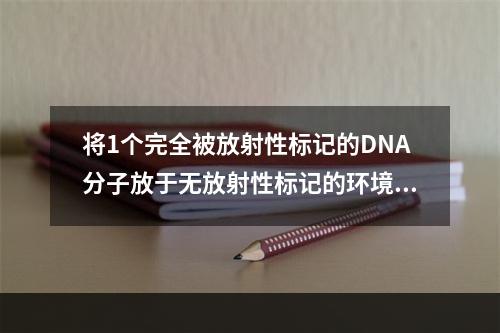 将1个完全被放射性标记的DNA分子放于无放射性标记的环境中复