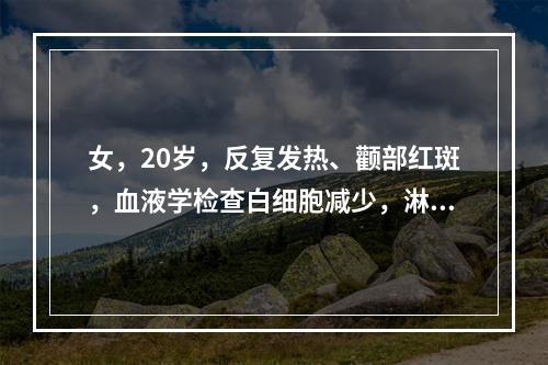 女，20岁，反复发热、颧部红斑，血液学检查白细胞减少，淋巴细