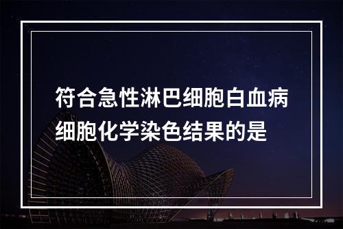 符合急性淋巴细胞白血病细胞化学染色结果的是