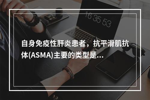 自身免疫性肝炎患者，抗平滑肌抗体(ASMA)主要的类型是()