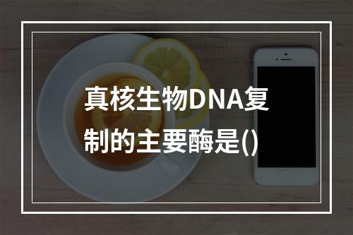 真核生物DNA复制的主要酶是()