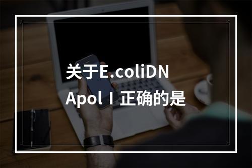 关于E.coliDNApolⅠ正确的是