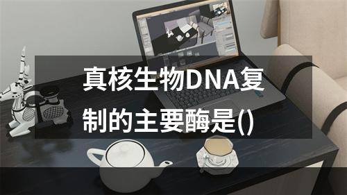 真核生物DNA复制的主要酶是()