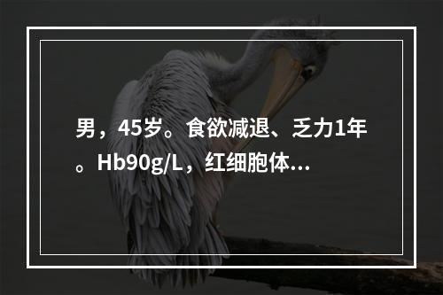 男，45岁。食欲减退、乏力1年。Hb90g/L，红细胞体积分