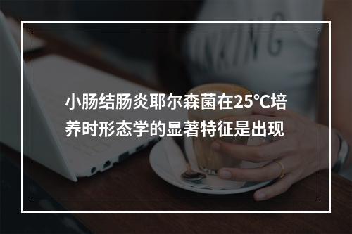 小肠结肠炎耶尔森菌在25℃培养时形态学的显著特征是出现