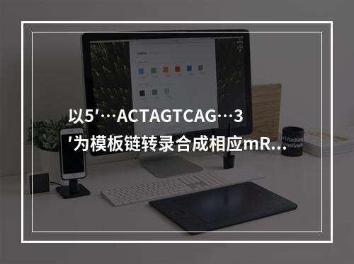 以5′…ACTAGTCAG…3′为模板链转录合成相应mRNA